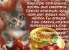 Kindly wound download without koshtovno pictures, leaflets, pobozhannya