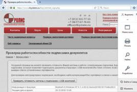 How to set up a Yandex browser for robots with an electronic signature EDS plugin